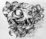skull-eyeball-tattoo-drawing
