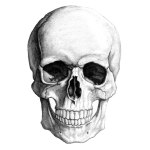 skullpencil_large