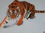 Tiger_Painting_by_NorthmansOatmeal
