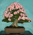 yamazaki_06_03_03001