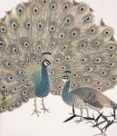 226505_382576725173511_989490803_n