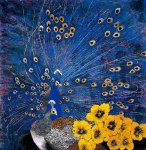 26330_381866105244573_1705441526_n