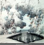 377770_372917046139479_390633654_n-1