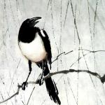 382364_371896726241511_1081350510_n