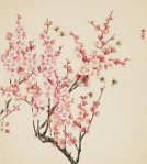 425146_394850253946158_1396937615_n