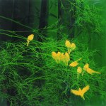 487938_379783845452799_1162002195_n