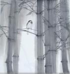 603988_395720573859126_1285699977_n