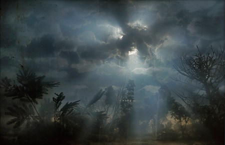 4208-palm-39b-30x44-47x71-2005