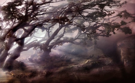 4432-dunes-20d-32x49-44x69-54x85-2008