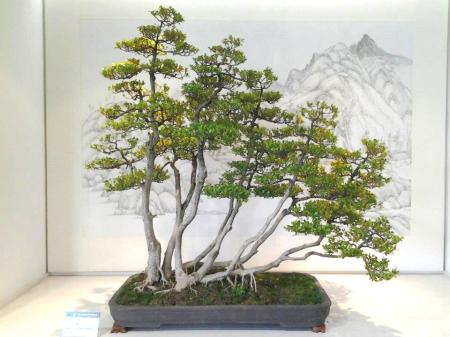 528367_650378051655408_745997935_n