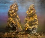 d712-two-women-712b-2012