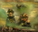 d892-two-women-892d-2012