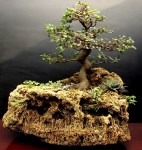 OQAAAMynkADNPmyPF2bo72oO0WQvY0nXRXcTa-VxxFGFkJLR2tL34HzszAu13ROlsd8Mc-iHGB3TlYd9xbh_1NNut7EAm1T1UK-Kq6-08QAiz_KnLDvAqNMdTgBO