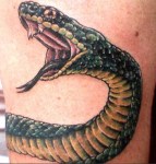 3D Snakes Tattoo on Biceps and Triceps-01 tattoosphotogallery.blogspot.com