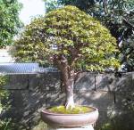 580163_154788338042743_1794294256_n