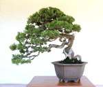 934730_135360883318822_1543594321_n