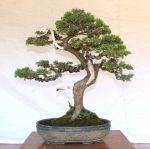 936120_135362283318682_1003760947_n