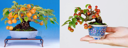 Captura de Tela 2013-07-10 às 18.58.54