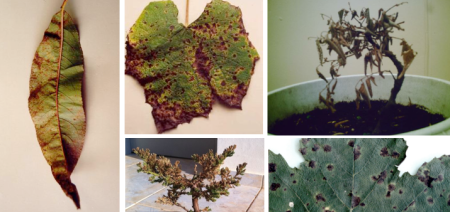 Captura de Tela 2013-07-10 às 20.40.38