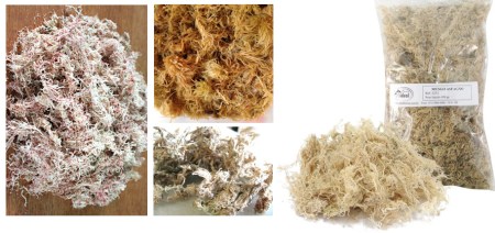 Captura de Tela 2013-07-11 às 12.03.43.png