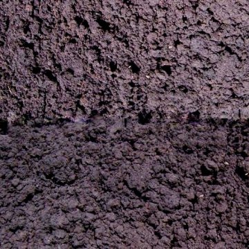 Condicionador de solo