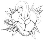 fc01.deviantart.net*images*large*indyart*tattoo*Snake_n_Rose