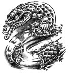 ideatattoo.com*blog*wp-content*uploads*2011*08*young-snake-tattoo
