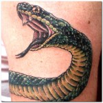 tattooadvices.com*Images*S*snake-tattoo-designs-pictures*Snake-Tattoo-Designs-Pictures-1
