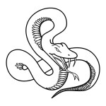 tattoodemon.com*flash*Snake*006-0009