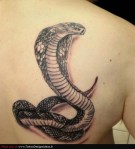 tattoodesignsideas.in*uploads*thumbs*t1_Snake-Tattoos_274