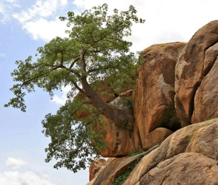 1005770_683622664997110_1656921_n-1