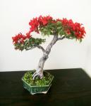 246863_402306186499207_458005059_n