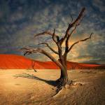 264573_465544410200520_647630660_n