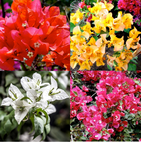 Captura de Tela 2013-08-20 às 19.15.05