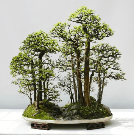 Captura de Tela 2013-08-21 às 00.06.27