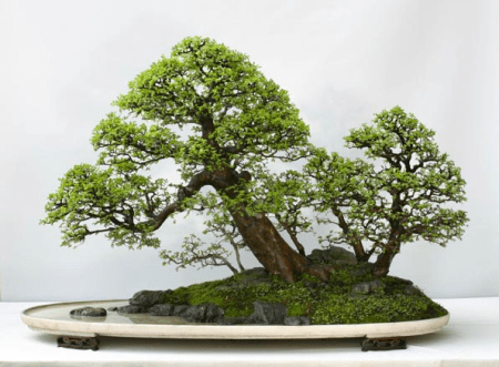 Captura de Tela 2013-08-21 às 00.07.08