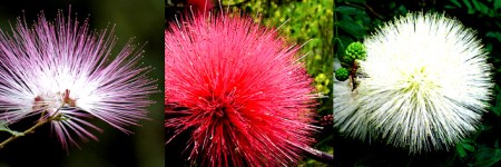 Captura de Tela 2013-08-21 às 21.34.26.png