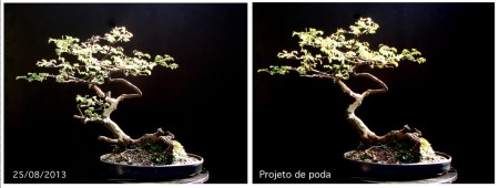 Captura de Tela 2013-08-25 às 22.54.15.png