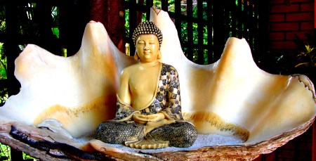 Cópia de DSC06668 2