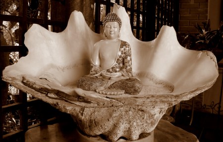 Cópia de DSC06669 2