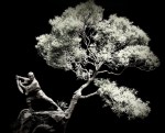 DSC04382