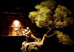 DSC04490