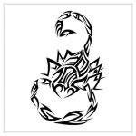 itattooz-tribal-scorpean-tat