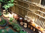 dsc04545