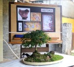 Captura de Tela 2017-04-23 às 11.32.45&nbsp;AM.png