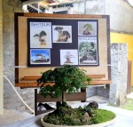 Captura de Tela 2017-04-23 às 11.33.45&nbsp;AM.png