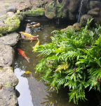 Captura de Tela 2017-04-23 às 11.35.31&nbsp;AM