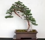 10488147_609866172444485_8641175146630390203_n-1