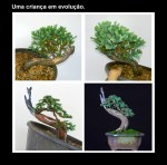 Captura de Tela 2017-04-28 às 11.08.45&nbsp;AM.png