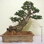 WP_20170413_08_43_46_aaPro